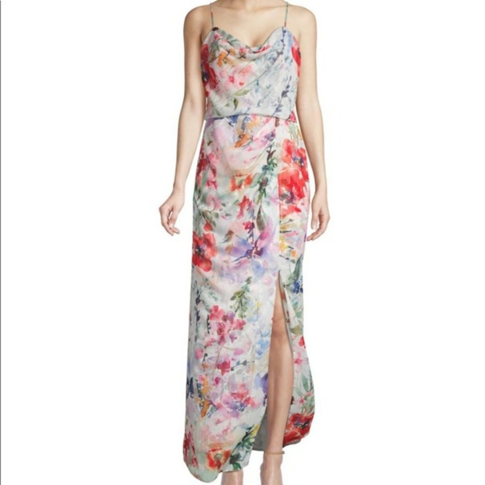 Parker Multicolor Delphine Chiffon Formal Dress